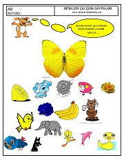 okul öncesi renkler çalışma sayfaları; verilen resimle aynı renkte olan resimleri işaretle